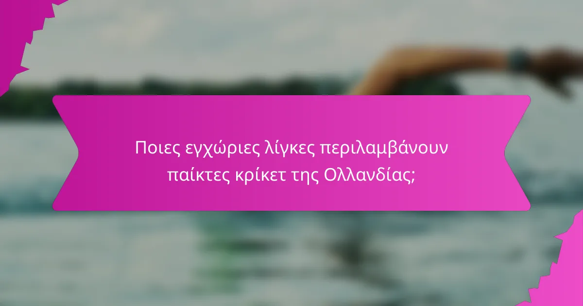 Ποιες εγχώριες λίγκες περιλαμβάνουν παίκτες κρίκετ της Ολλανδίας;